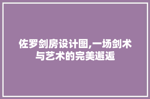 佐罗剑房设计图,一场剑术与艺术的完美邂逅