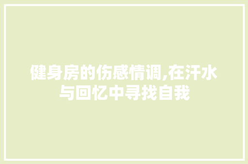 健身房的伤感情调,在汗水与回忆中寻找自我