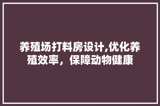 养殖场打料房设计,优化养殖效率，保障动物健康