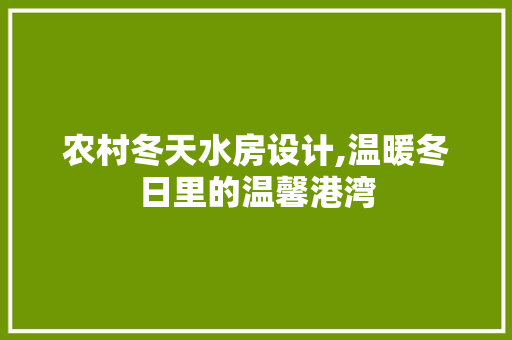 农村冬天水房设计,温暖冬日里的温馨港湾