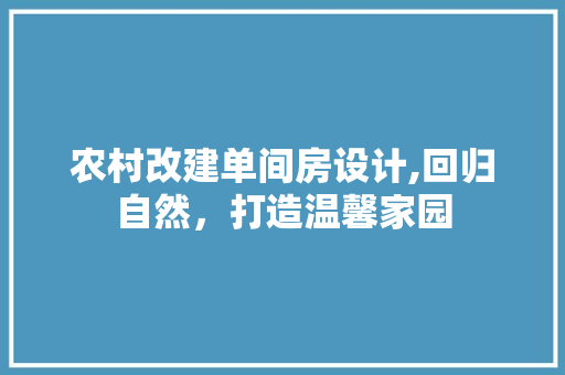 农村改建单间房设计,回归自然，打造温馨家园