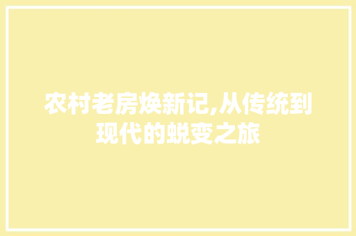 农村老房焕新记,从传统到现代的蜕变之旅