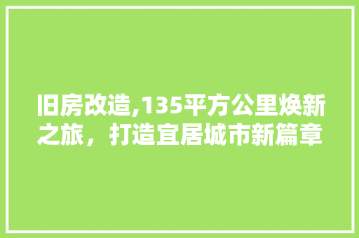旧房改造,135平方公里焕新之旅，打造宜居城市新篇章