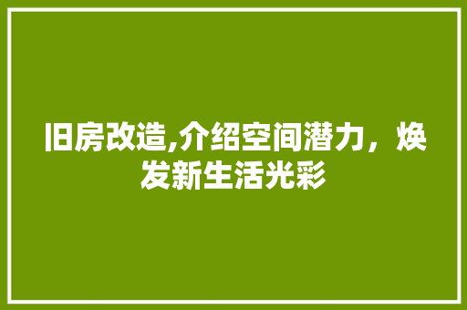 旧房改造,介绍空间潜力，焕发新生活光彩