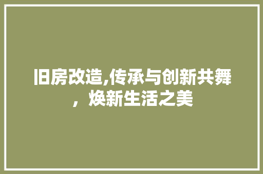 旧房改造,传承与创新共舞，焕新生活之美