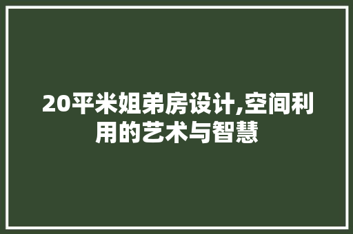 20平米姐弟房设计,空间利用的艺术与智慧