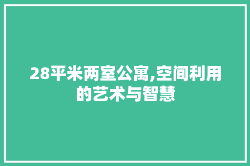 28平米两室公寓,空间利用的艺术与智慧