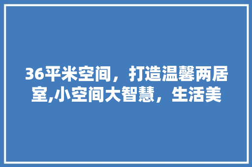 36平米空间，打造温馨两居室,小空间大智慧，生活美学新诠释