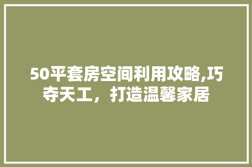 50平套房空间利用攻略,巧夺天工，打造温馨家居