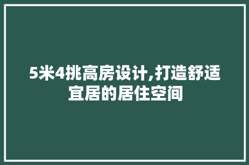 5米4挑高房设计,打造舒适宜居的居住空间