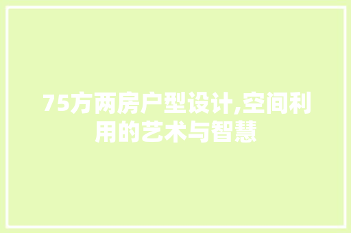 75方两房户型设计,空间利用的艺术与智慧