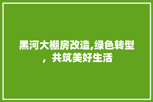 黑河大棚房改造,绿色转型，共筑美好生活