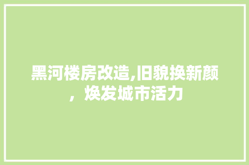 黑河楼房改造,旧貌换新颜，焕发城市活力