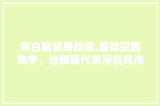 黑白精装房改造,重塑空间美学，诠释现代家居新风尚