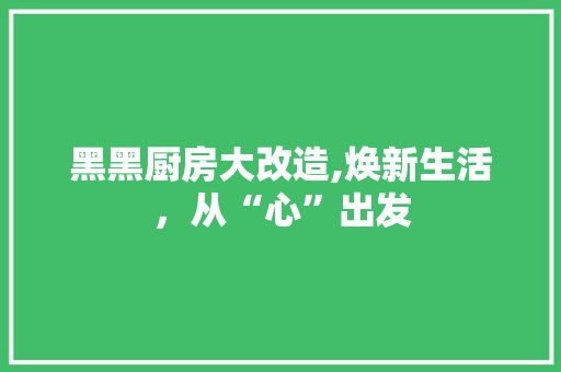 黑黑厨房大改造,焕新生活，从“心”出发