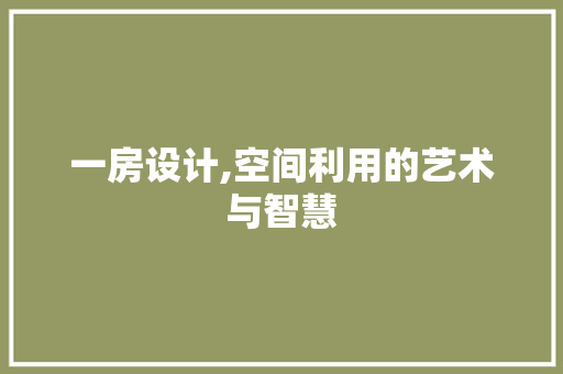 一房设计,空间利用的艺术与智慧
