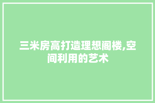 三米房高打造理想阁楼,空间利用的艺术