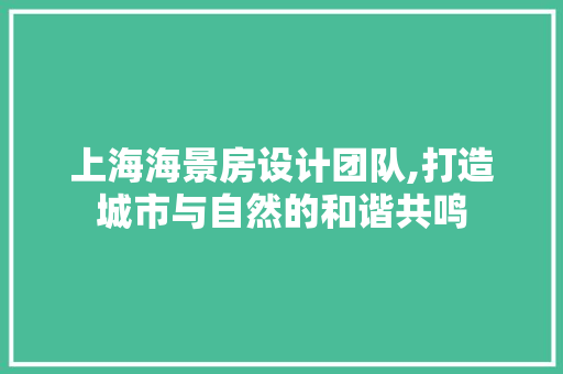 上海海景房设计团队,打造城市与自然的和谐共鸣
