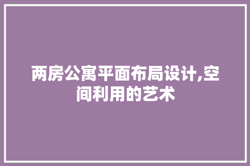 两房公寓平面布局设计,空间利用的艺术