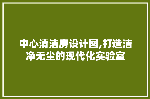 中心清洁房设计图,打造洁净无尘的现代化实验室