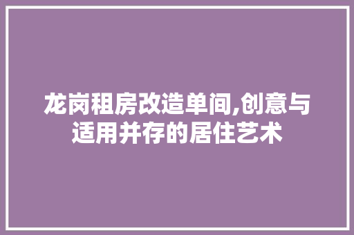 龙岗租房改造单间,创意与适用并存的居住艺术