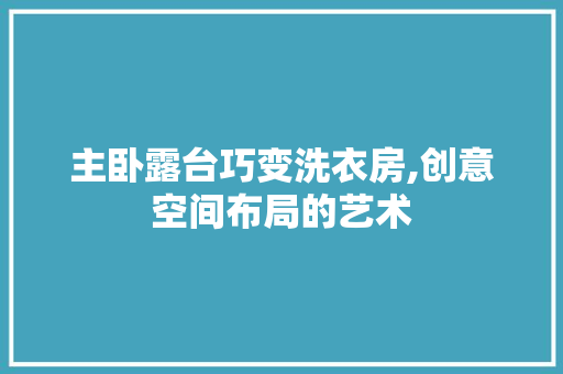 主卧露台巧变洗衣房,创意空间布局的艺术