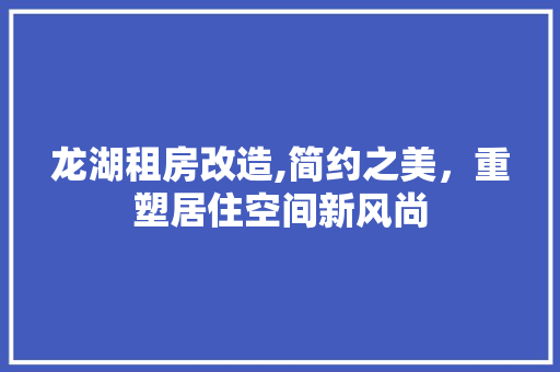 龙湖租房改造,简约之美，重塑居住空间新风尚