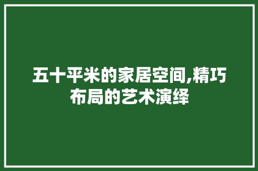 五十平米的家居空间,精巧布局的艺术演绎