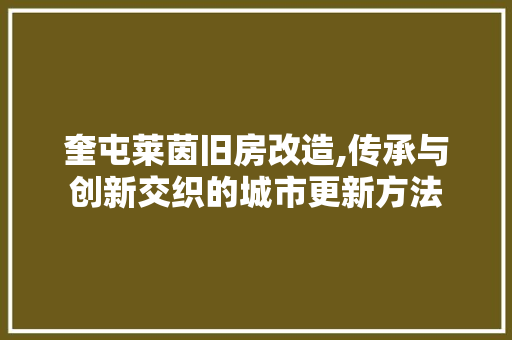 奎屯莱茵旧房改造,传承与创新交织的城市更新方法