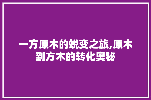 一方原木的蜕变之旅,原木到方木的转化奥秘
