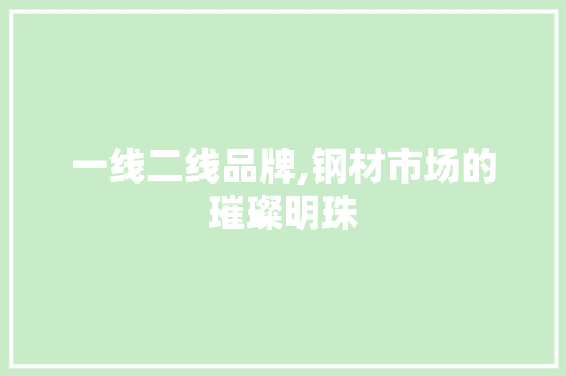 一线二线品牌,钢材市场的璀璨明珠