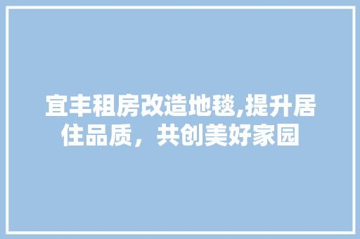 宜丰租房改造地毯,提升居住品质，共创美好家园