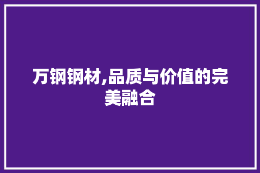 万钢钢材,品质与价值的完美融合