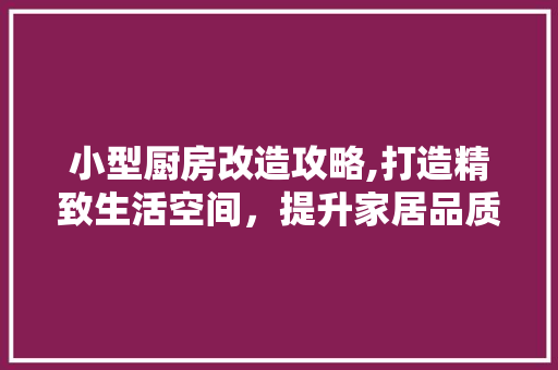 小型厨房改造攻略,打造精致生活空间，提升家居品质