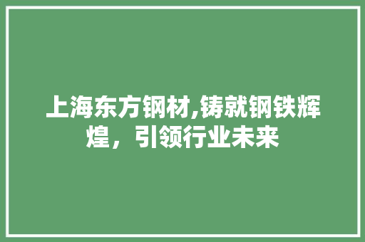 上海东方钢材,铸就钢铁辉煌，引领行业未来