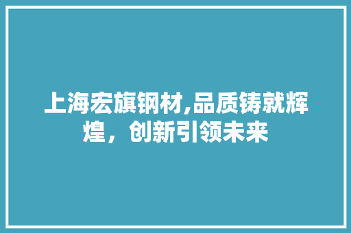 上海宏旗钢材,品质铸就辉煌，创新引领未来