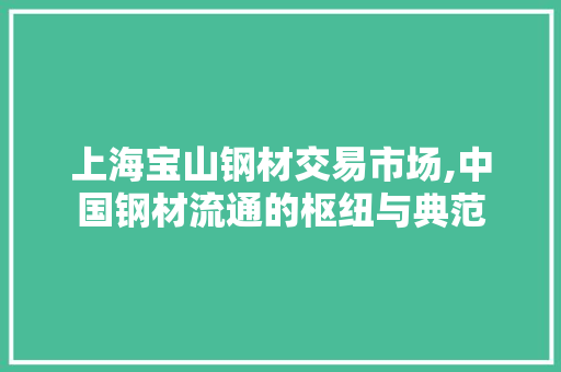 上海宝山钢材交易市场,中国钢材流通的枢纽与典范