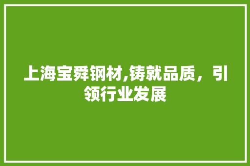 上海宝舜钢材,铸就品质，引领行业发展