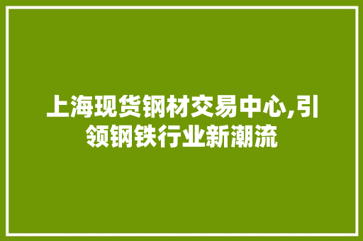 上海现货钢材交易中心,引领钢铁行业新潮流
