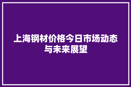 上海钢材价格今日市场动态与未来展望