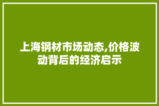 上海钢材市场动态,价格波动背后的经济启示