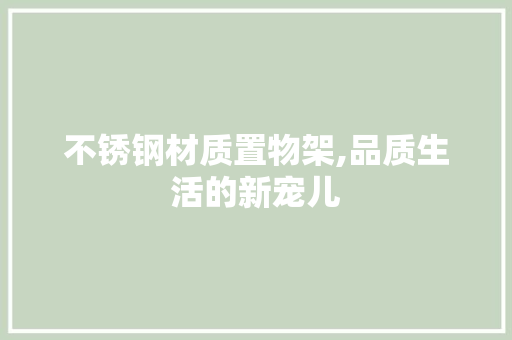 不锈钢材质置物架,品质生活的新宠儿
