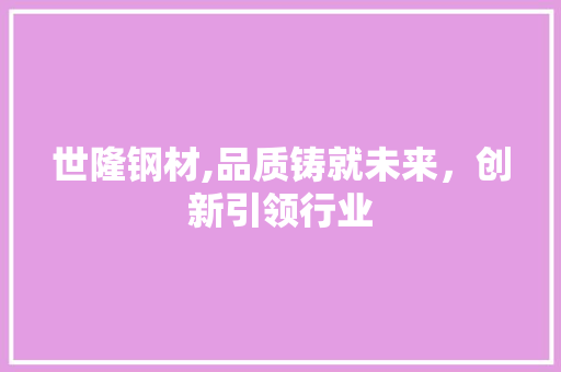 世隆钢材,品质铸就未来，创新引领行业