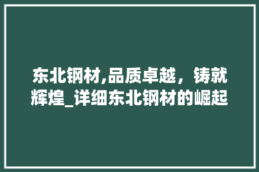 东北钢材,品质卓越，铸就辉煌_详细东北钢材的崛起之路