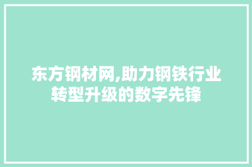 东方钢材网,助力钢铁行业转型升级的数字先锋