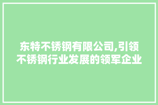 东特不锈钢有限公司,引领不锈钢行业发展的领军企业