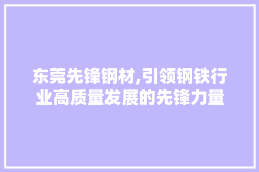 东莞先锋钢材,引领钢铁行业高质量发展的先锋力量