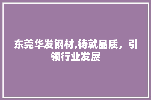 东莞华发钢材,铸就品质，引领行业发展