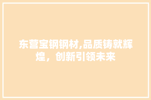 东营宝钢钢材,品质铸就辉煌，创新引领未来