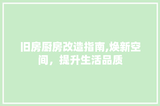 旧房厨房改造指南,焕新空间，提升生活品质